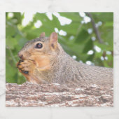 Eichhörnchen Bierflaschenetikett (Einzelnes Label)