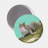 Eichhörnchen bläst Bubblegum Blase Animal Foto Magnet (Vorderseite/Rückseite)