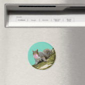 Eichhörnchen bläst Bubblegum Blase Animal Foto Magnet (In Situ (Geschirrspüler))