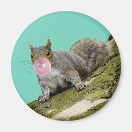 Eichhörnchen bläst Bubblegum Blase Animal Foto Magnet
