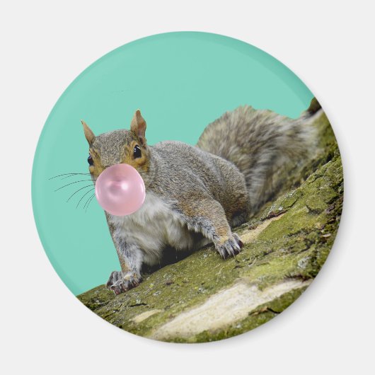 Eichhörnchen bläst Bubblegum Blase Animal Foto Magnet (Vorne)