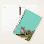 Eichhörnchen bläst Bubblegum Blase Animal Foto Planer (Anzeige)