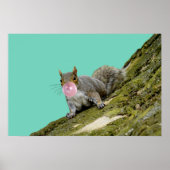 Eichhörnchen bläst Bubblegum Blase Animal Foto Poster (Vorne)