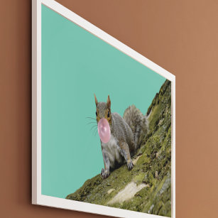 Eichhörnchen bläst Bubblegum Blase Animal Foto Poster