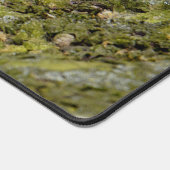 Eichhörnchen bläst Bubblegum Blase Animal Foto Schreibtischunterlage (Ecke)