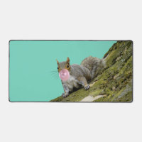 Eichhörnchen bläst Bubblegum Blase Animal Foto