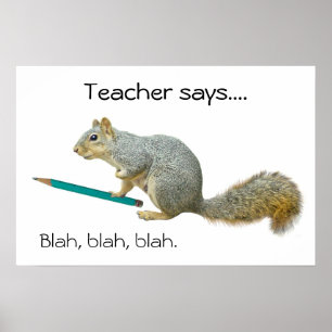 Eichhörnchen-Bleistift-Poster Poster