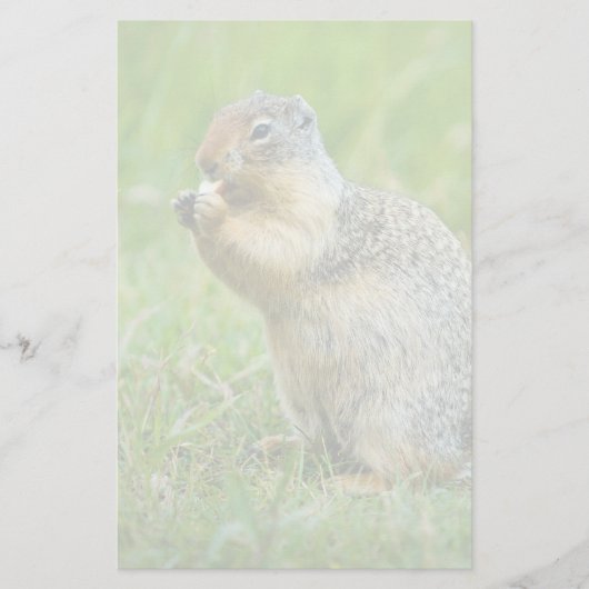 Eichhörnchen Briefpapier (Vorderseite)