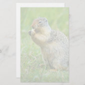 Eichhörnchen Briefpapier (Vorne/Hinten)