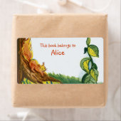 Eichhörnchen buchen (Insitu)