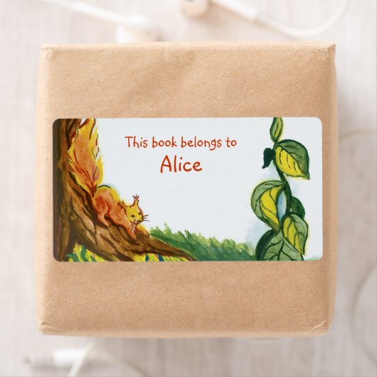 Eichhörnchen buchen (Insitu)