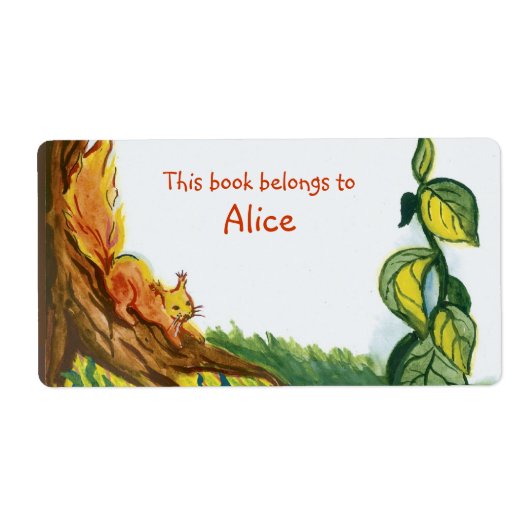 Eichhörnchen buchen (Vorne)