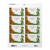 Eichhörnchen buchen (Vorne)