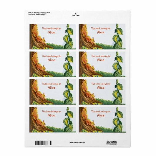 Eichhörnchen buchen (Vorne)