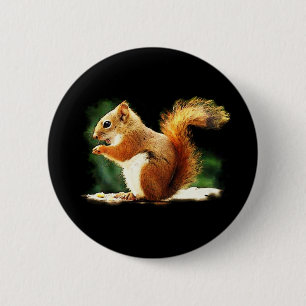 Eichhörnchen Button
