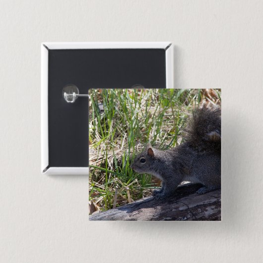 Eichhörnchen Button (Vorne & Hinten)