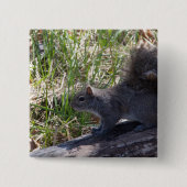 Eichhörnchen Button (Vorderseite)