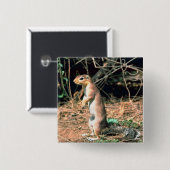 Eichhörnchen Button (Vorne & Hinten)