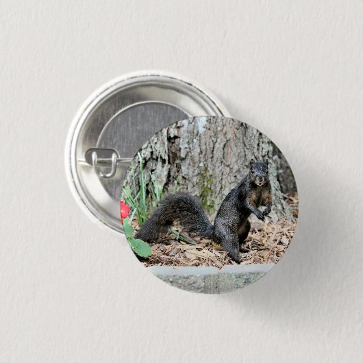 Eichhörnchen Button (Vorne & Hinten)