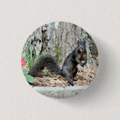 Eichhörnchen Button (Vorderseite)