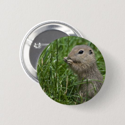 Eichhörnchen Button (Vorne & Hinten)