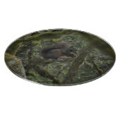 Eichhörnchen-Camouflage Schneidebrett (Ecke)