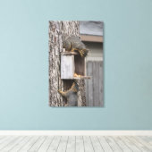 Eichhörnchen Canvas Print Leinwanddruck (Insitu (Holzboden))
