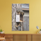 Eichhörnchen Canvas Print Leinwanddruck (Insitu (Wohnzimmer))