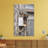 Eichhörnchen Canvas Print Leinwanddruck (Insitu (Wohnzimmer))