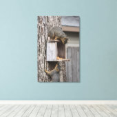 Eichhörnchen Canvas Print Leinwanddruck (Insitu (Holzboden))