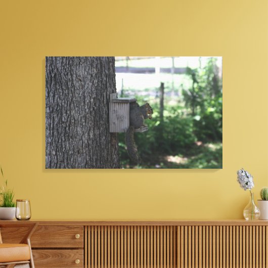Eichhörnchen Canvas Print Leinwanddruck (Insitu (Wohnzimmer))