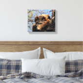 Eichhörnchen Canvas Print Leinwanddruck (Insitu (Schlafzimmer))
