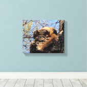 Eichhörnchen Canvas Print Leinwanddruck (Insitu (Holzboden))