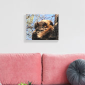 Eichhörnchen Canvas Print Leinwanddruck (Insitu (Wohnzimmer))