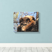 Eichhörnchen Canvas Print Leinwanddruck (Insitu (Holzboden))