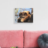 Eichhörnchen Canvas Print Leinwanddruck (Insitu (Wohnzimmer))