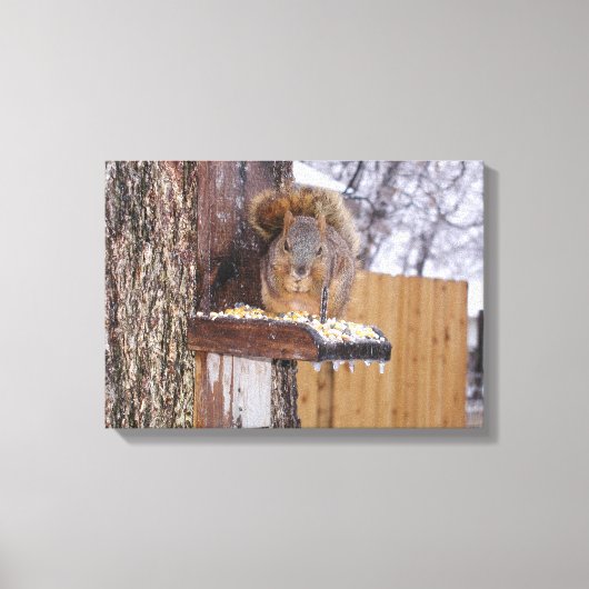 Eichhörnchen Canvas Print Leinwanddruck (Vorderseite)