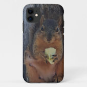 Eichhörnchen Case-Mate iPhone Hülle (Rückseite)