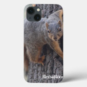 Eichhörnchen Case-Mate iPhone Hülle (Rückseite)