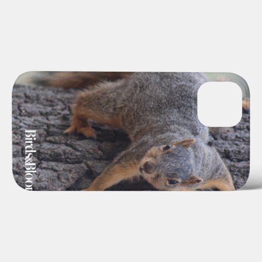 Eichhörnchen Case-Mate iPhone Hülle (Rückseite (Horizontal))