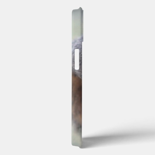 Eichhörnchen Case-Mate iPhone Hülle (Rückseite / Rechts)