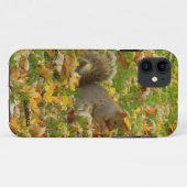 Eichhörnchen Case-Mate iPhone Hülle (Rückseite (Horizontal))