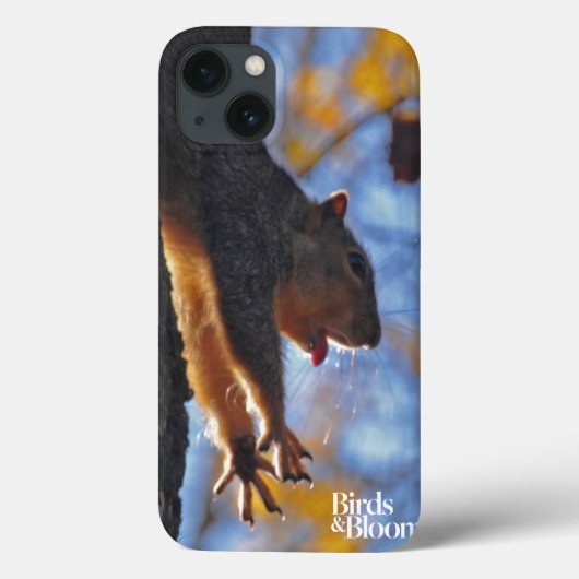Eichhörnchen Case-Mate iPhone Hülle (Rückseite)