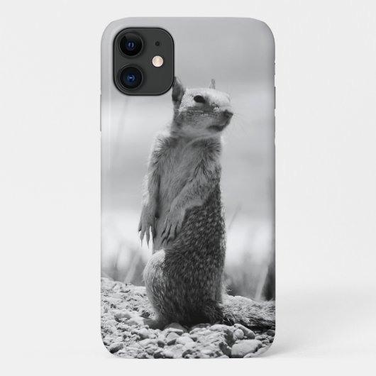 Eichhörnchen Case-Mate iPhone Hülle (Rückseite)