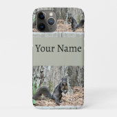 Eichhörnchen Case-Mate iPhone Hülle (Rückseite)