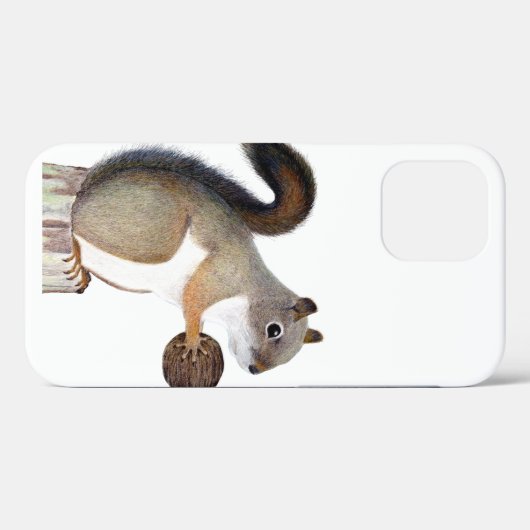 Eichhörnchen Case-Mate iPhone Hülle (Rückseite (Horizontal))