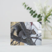 Eichhörnchen/Chickadepostkarte Postkarte (Stehend Vorderseite)