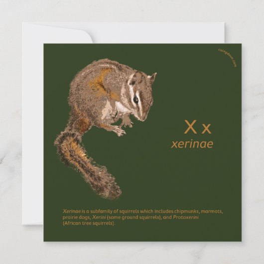 Eichhörnchen/Chipmunk risingdove.com (Rückseite)