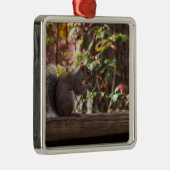 Eichhörnchen-Chow-Chow Zeit Ornament Aus Metall (Rechts)