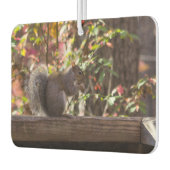 Eichhörnchen Chow Time Autolufterfrischer (Links)